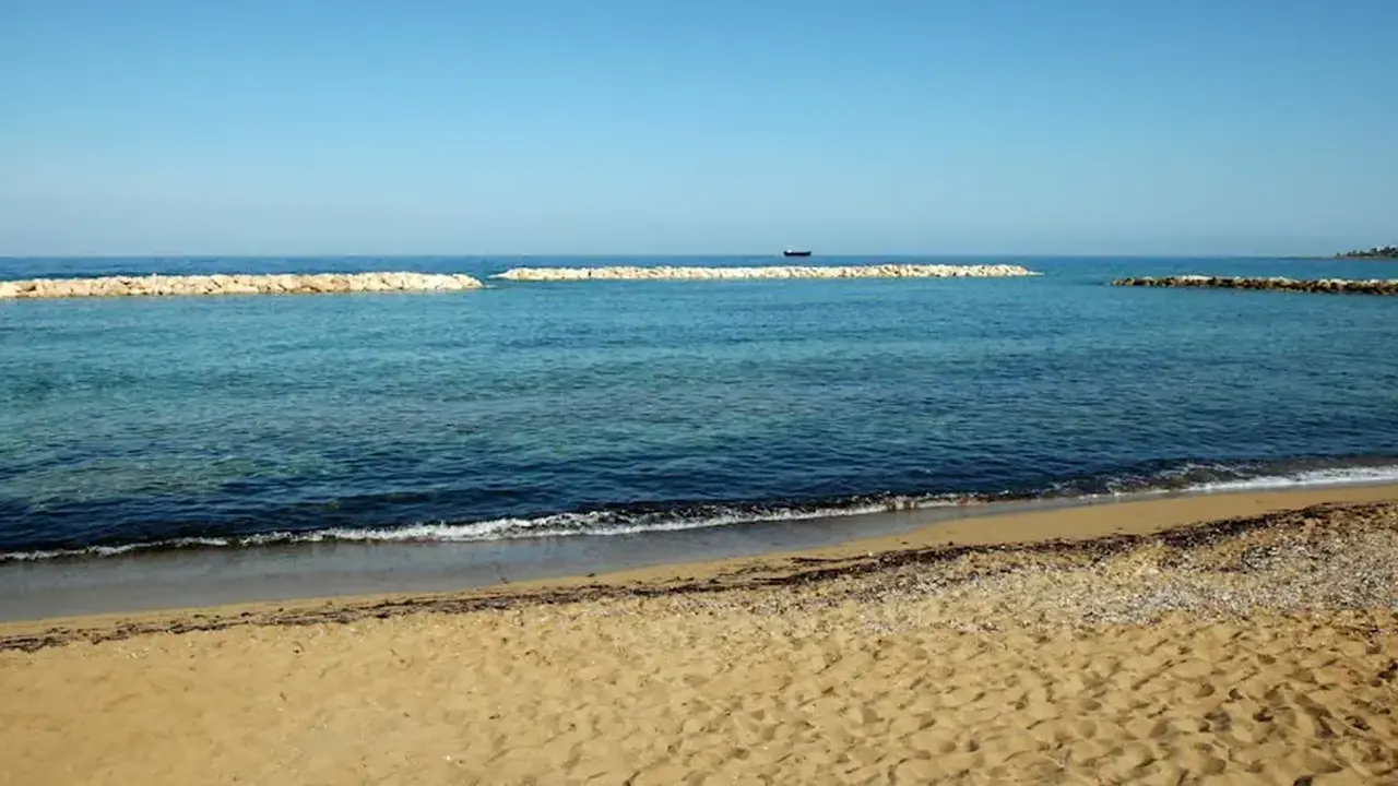 Venus Beach Hotel