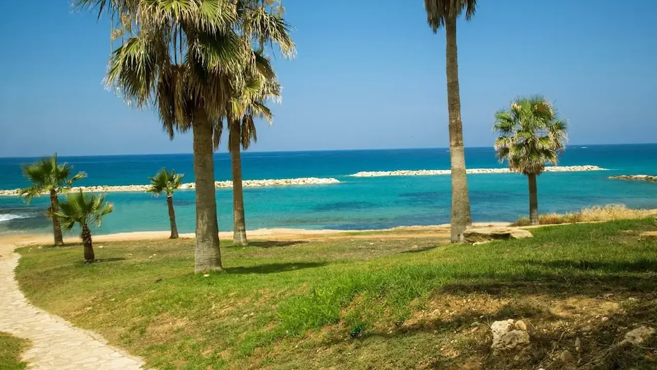 Venus Beach Hotel