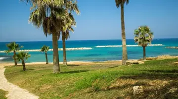 Venus Beach Hotel