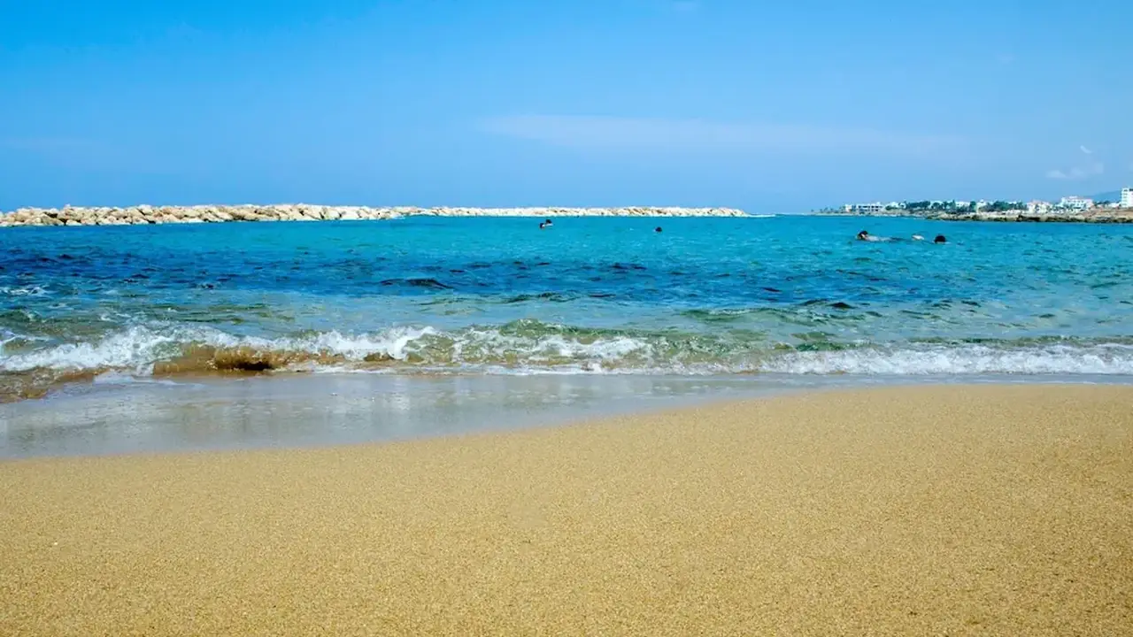 Venus Beach Hotel