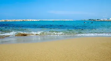 Venus Beach Hotel