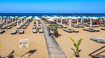 Venus Beach