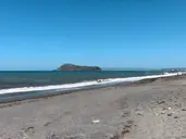 Venus Beach