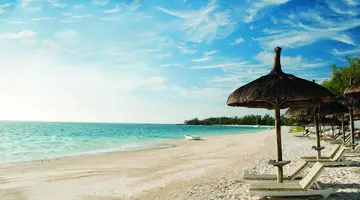Veranda Palmar