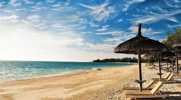 Veranda Palmar