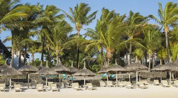 Veranda Palmar