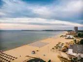 Viand
