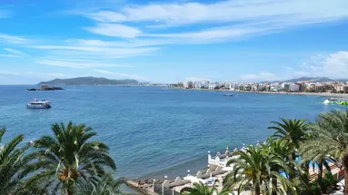 Vibra Maritimo