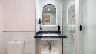 Vibra Palma Cactus