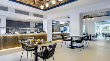 Vibra Palma Cactus