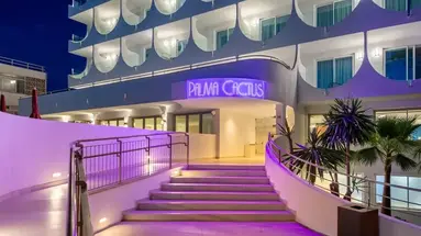 Vibra Palma Cactus