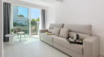 Vibra Palma Cactus