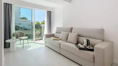 Vibra Palma Cactus