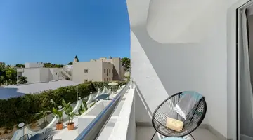 Vibra Palma Cactus