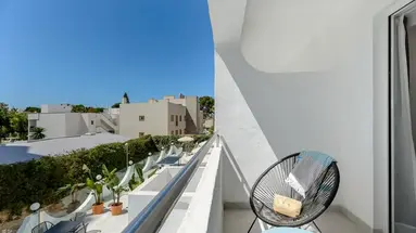 Vibra Palma Cactus
