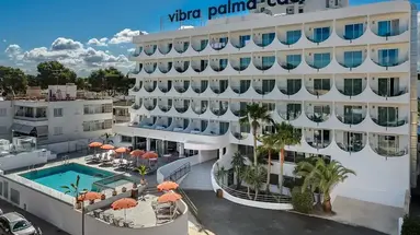 Vibra Palma Cactus