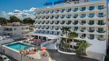 Vibra Palma Cactus