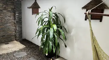 VICTORIA PHAN THIET BEACH RESORT & SPA