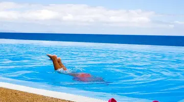 Vidamar Resort Hotel Madeira