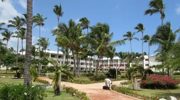 VIK ARENA BLANCAS