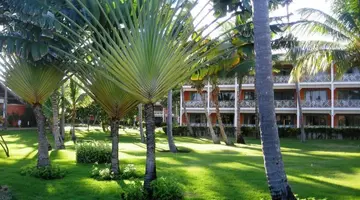 VIK ARENA BLANCAS
