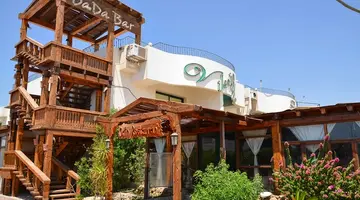 Viking Club
