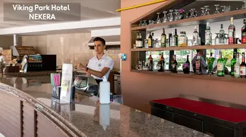 Viking Park Hotel & Spa