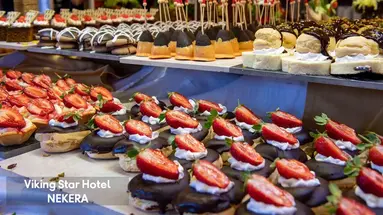 VIKING STAR HOTEL