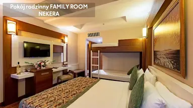 VIKING STAR HOTEL