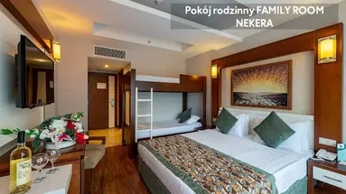 VIKING STAR HOTEL