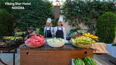 VIKING STAR HOTEL