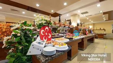 VIKING STAR HOTEL