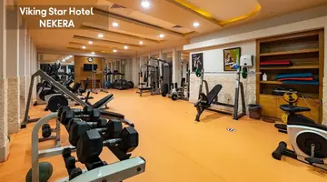 VIKING STAR HOTEL