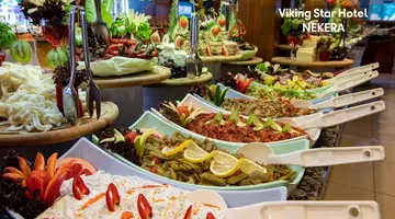 VIKING STAR HOTEL