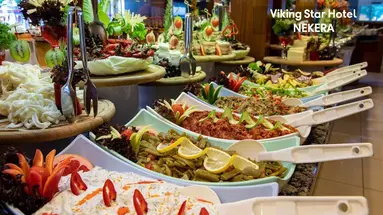 VIKING STAR HOTEL