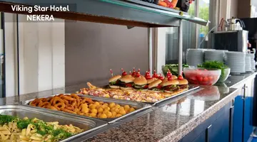 VIKING STAR HOTEL