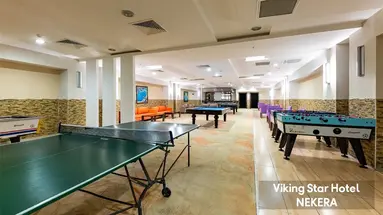 VIKING STAR HOTEL