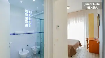 Viking