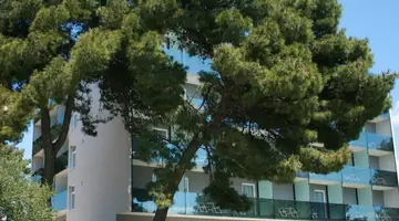 VILLA ARAUSA