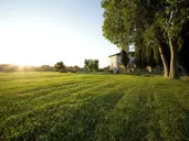 Villa Campestri Olive Oil Resort