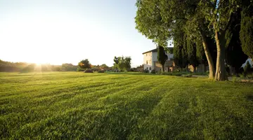 Villa Campestri Olive Oil Resort