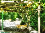 Villa Ciccio