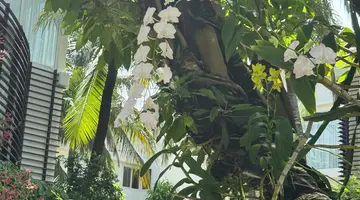 VILLA DEL SOL BEACH VILLAS &SPA