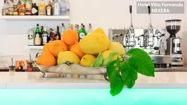 VILLA FERNANDA HOTEL