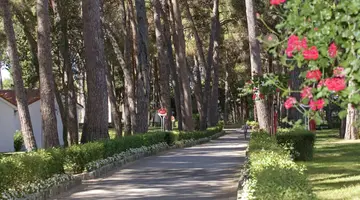 Villa GALIJOT Plava Laguna