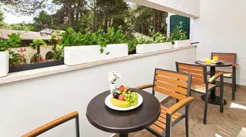 Villa Galijot Plava Laguna