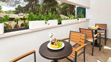 Villa Galijot Plava Laguna