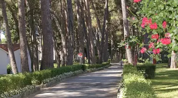 Village Galijot Plava Laguna