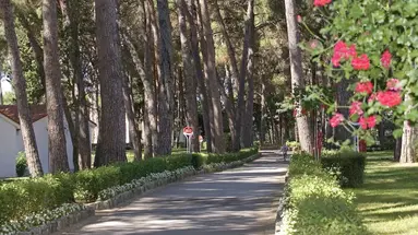 Village Galijot Plava Laguna