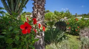Villaggio Baia d Ercole